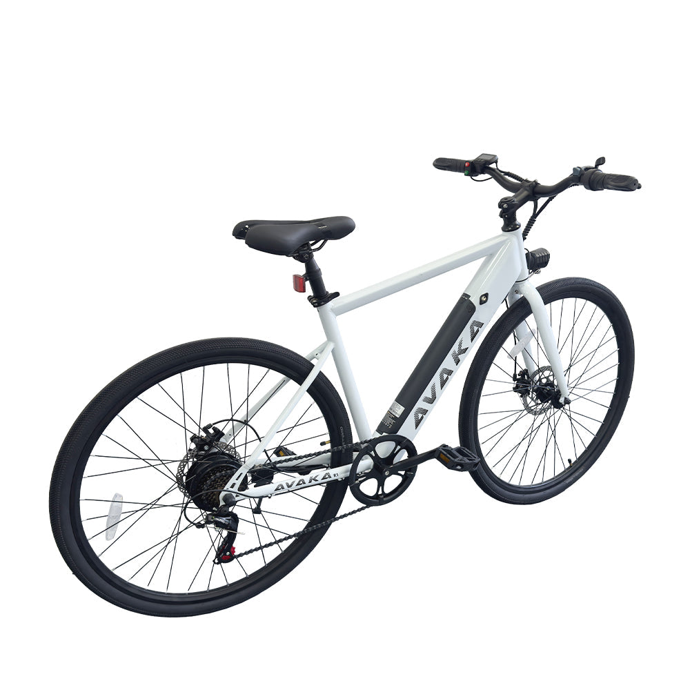 AVAKA R1 250W