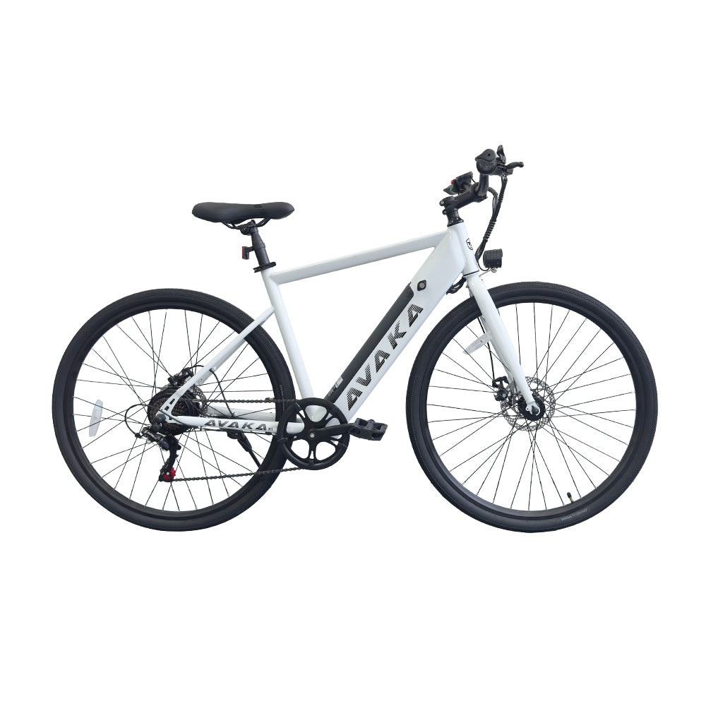 AVAKA R1 250W