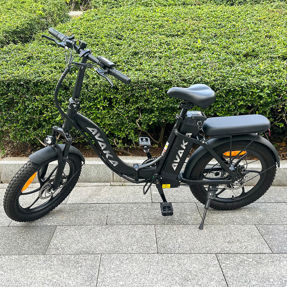 AVAKA BZ20 PLUS