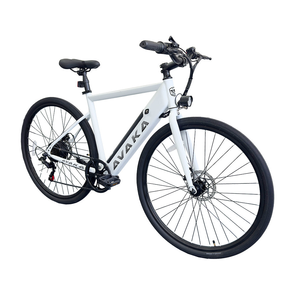 AVAKA R1 250W