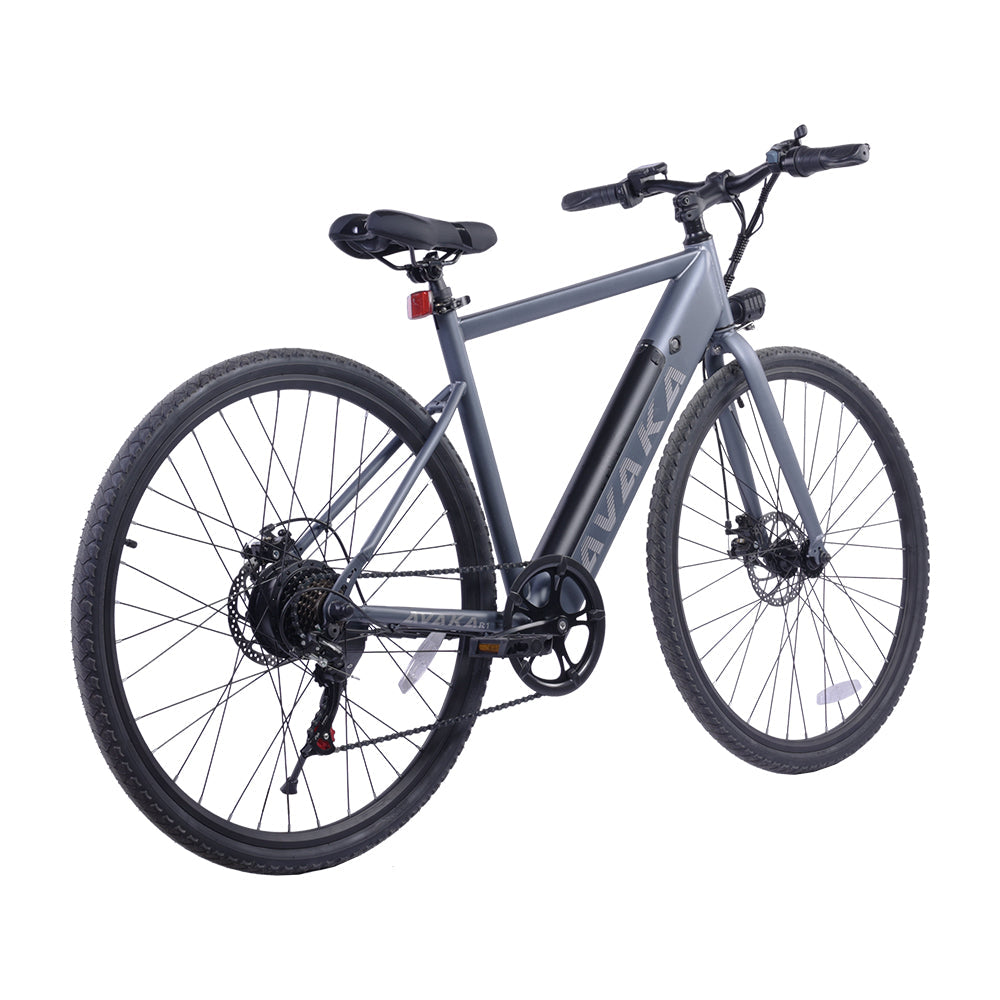 AVAKA R1 250W