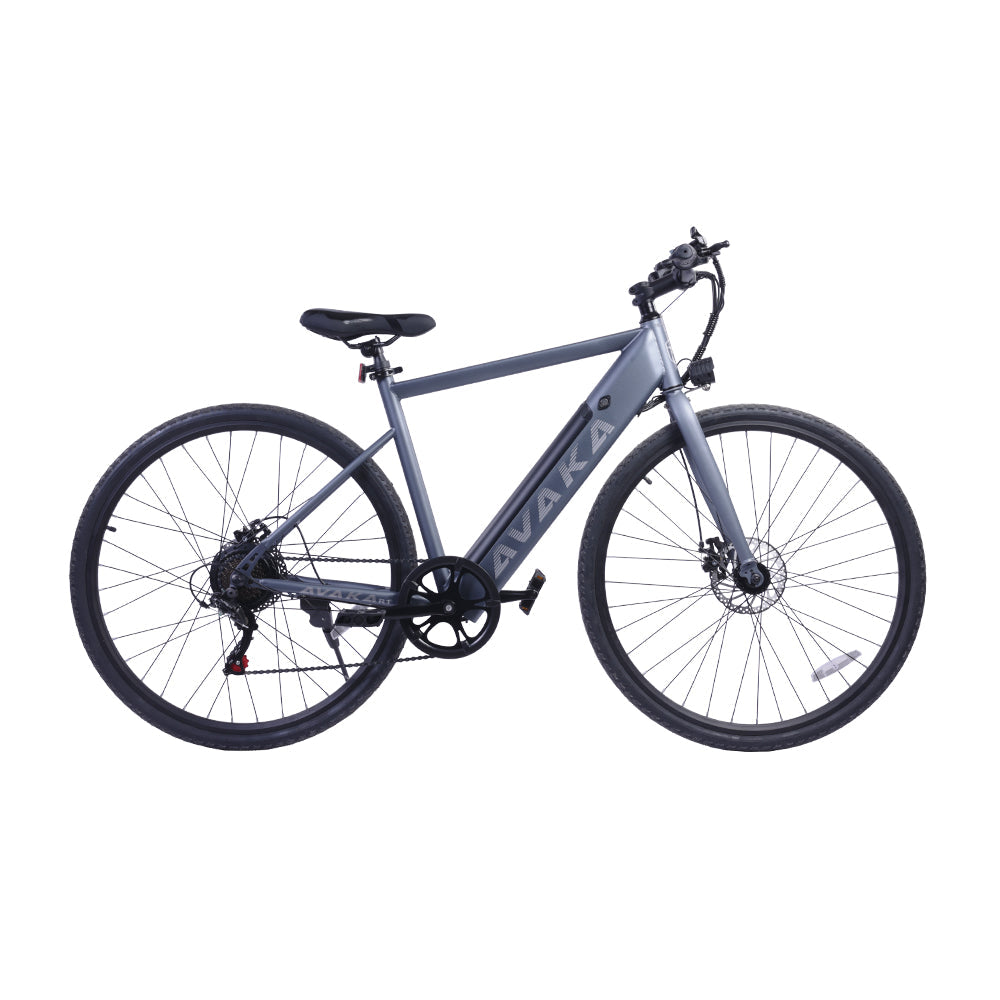 AVAKA R1 250W