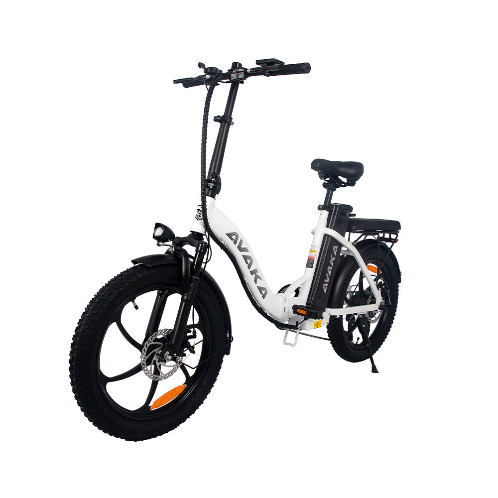 AVAKA BZ20 PLUS