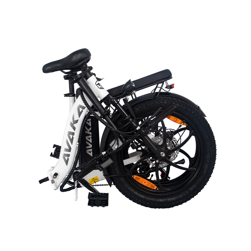 AVAKA BZ20 PLUS