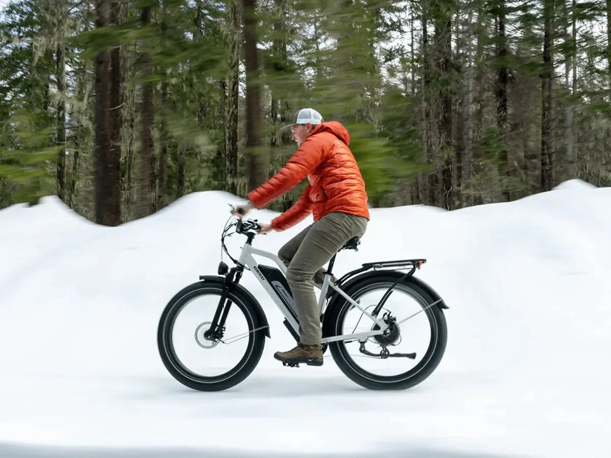 HIMIWAY CRUISER STEP-THRU (D3)