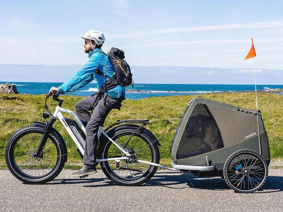 HIMIWAY CRUISER STEP-THRU (D3)
