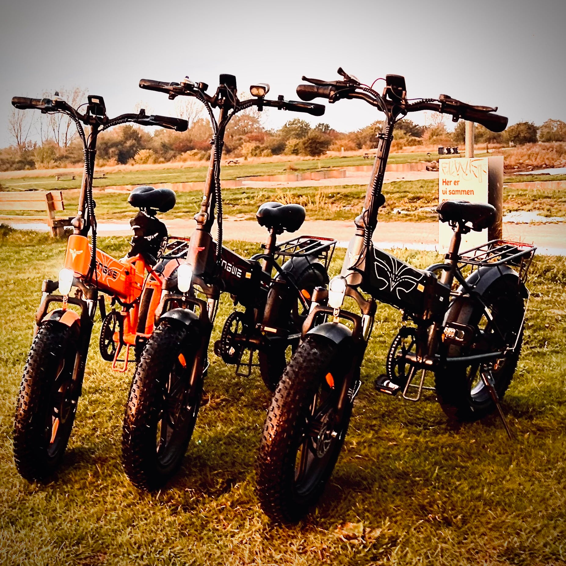 Ep 2 Pro - Engwe's mest solgte model