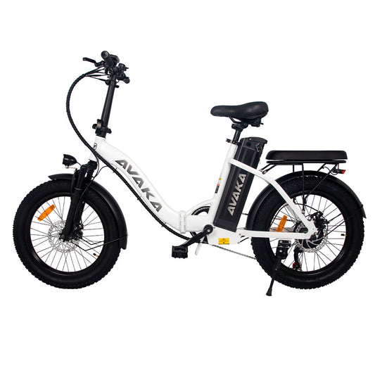 AVAKA BZ20 PLUS