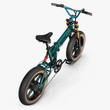 Fiido M1 Pro Fat Tire Electric Bike