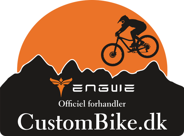 CustomBike