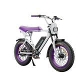 Macfox E-bike X1S x Bs.zay