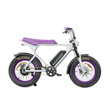 Macfox E-bike X1S x Bs.zay