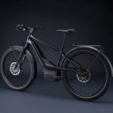 Harley-Davidson RUSH CITY