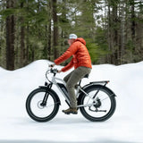 HIMIWAY CRUISER STEP-THRU (D3)