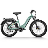 HIMIWAY ZEBRA STEP-THRU (D3)